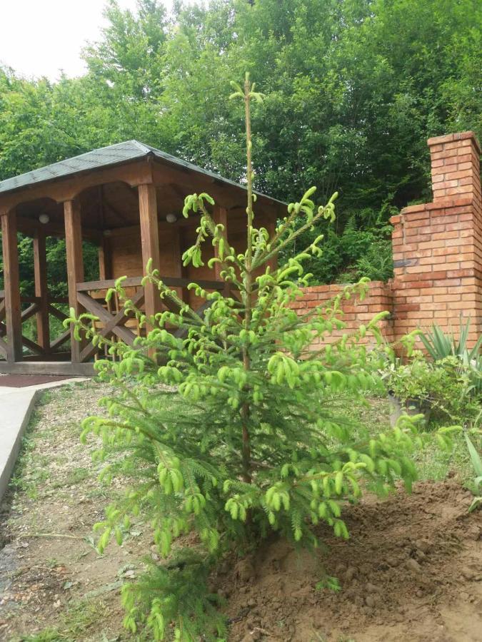 Villa Na Uzlissi เมยโฮโว ภายนอก รูปภาพ